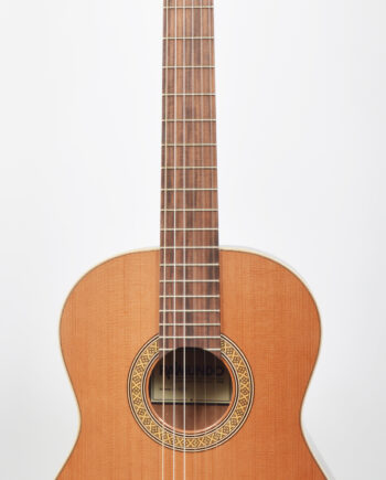 Raimundo C8 Cedar 63cm scale