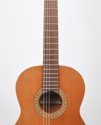 Raimundo C8s 63cm scale