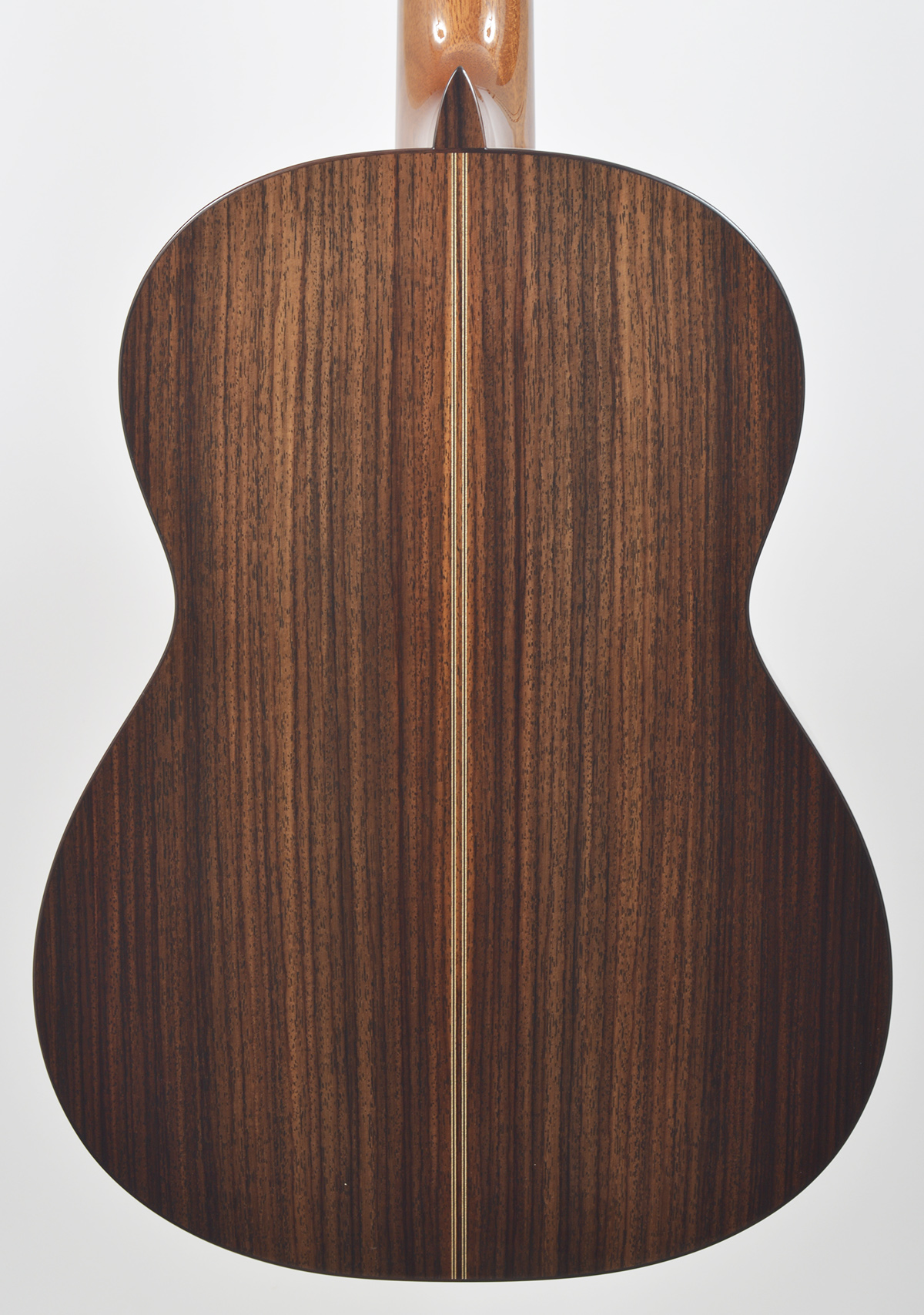 Asturias Standard Spruce