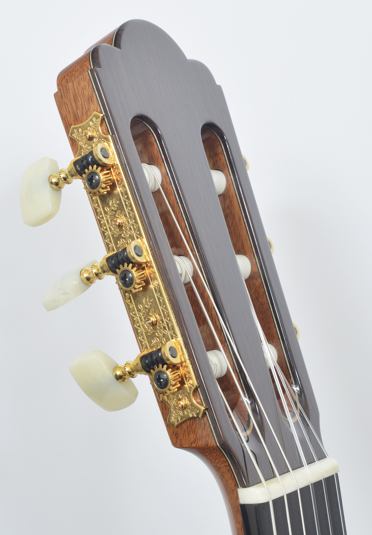 Asturias Standard Spruce