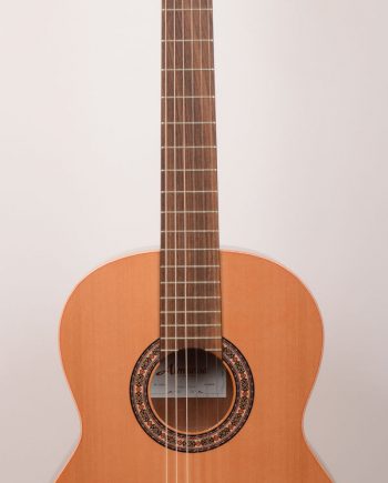 Guitar store under 1000