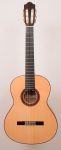 Almansa 434 Spruce