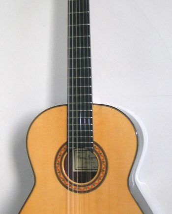 Raimundo 140 Spruce