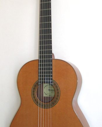 Raimundo Bossa Nova 1 Cedar