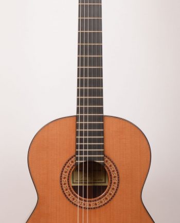 Raimundo 146 Cedar 64cm