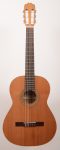Raimundo C8s 63cm scale
